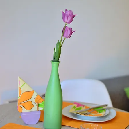 Apartment Elza